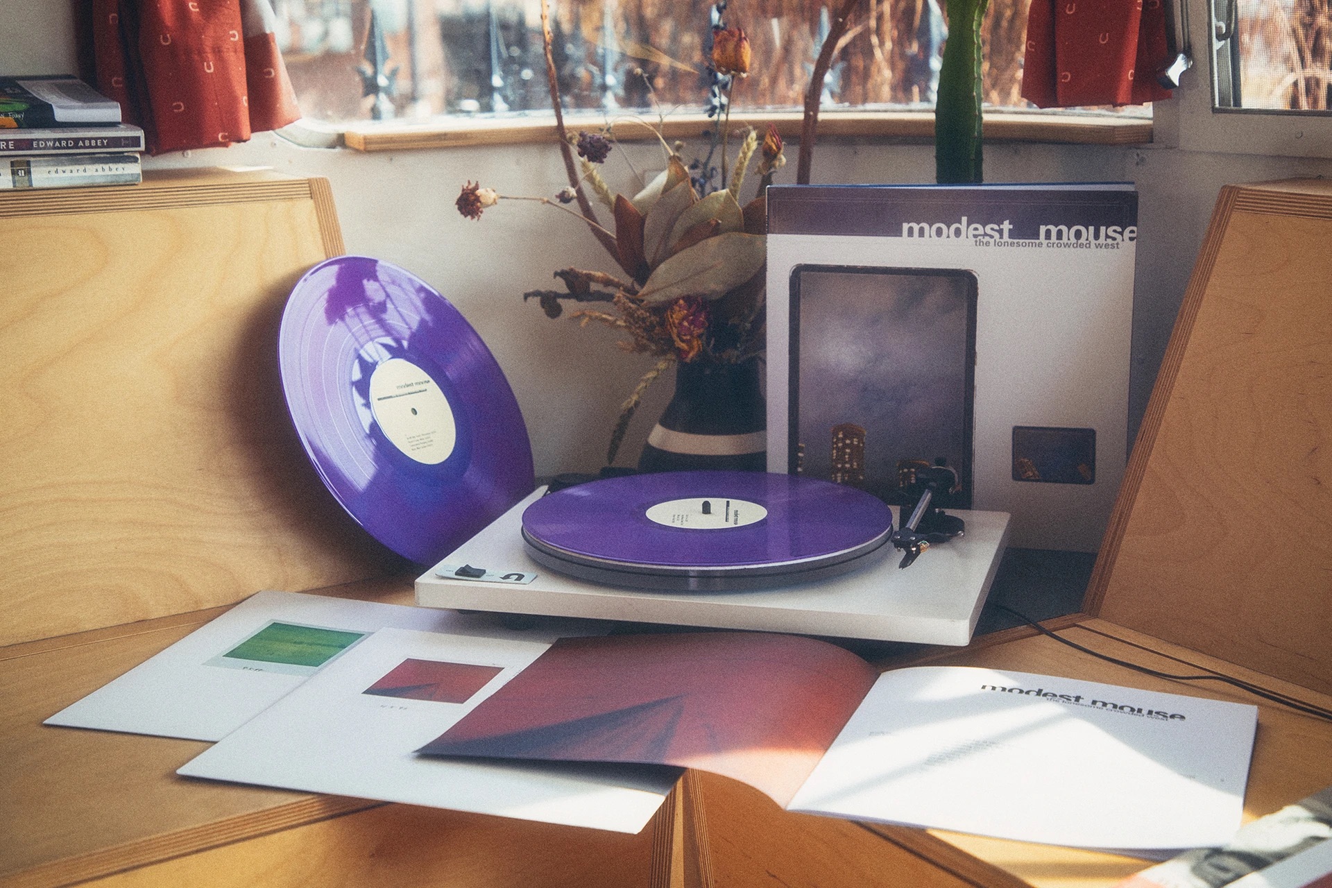 Modest Mouse Lonesome Crowded West VMP