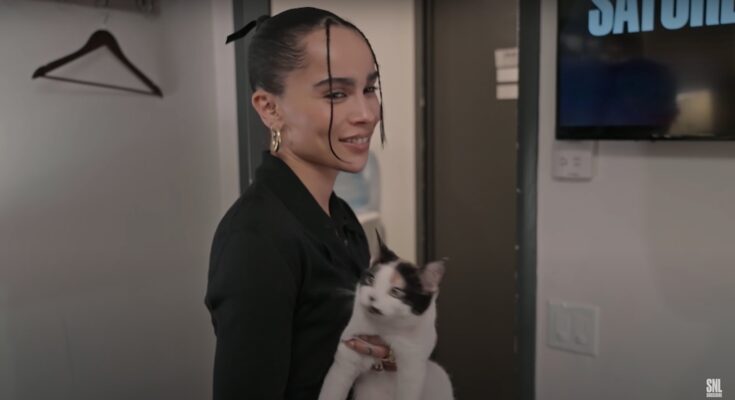 [WATCH] Zoe Kravitz se unió a Paul Dano para 'SNL' Cat Sketch