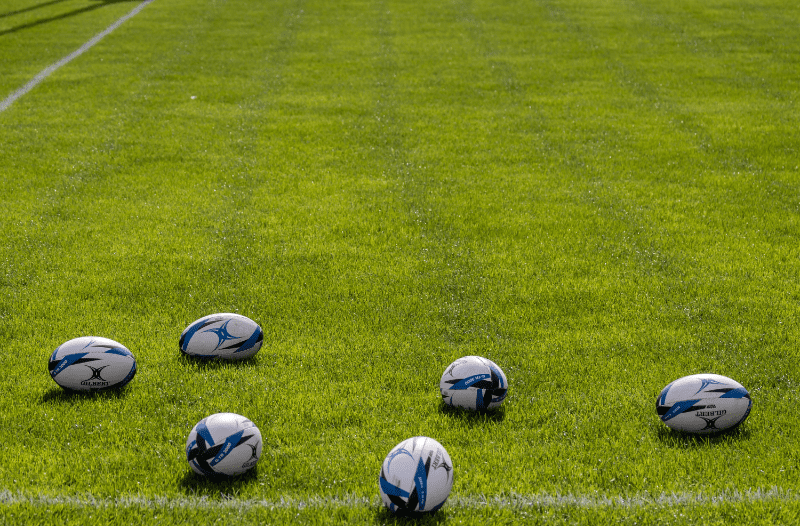 Los Pumas y el Desafío de Reconstruir un Equipo Ganador